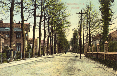 14421 Gezicht op de Rijksstraatweg met rijen bomen en bebouwing te Soestdijk (gemeente Soest).N.B. De straatnaam van ...